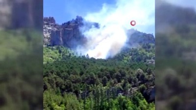 ormanli -  Feke'de orman yangını Videosu