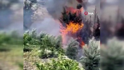uttu -  Hatay'da bahçe yangını korkuttu Videosu
