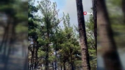 ormanli -  Kayseri'de orman yangını Videosu