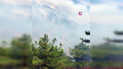  Kayseri'de orman yangını