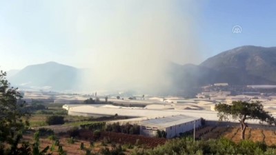 MERSİN - Bozyazı'daki orman yangınına havadan ve karadan müdahale ediliyor (1)