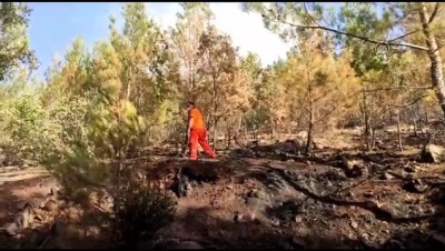 MERSİN - Orman yangınına havadan ve karadan müdahale ediliyor (2)