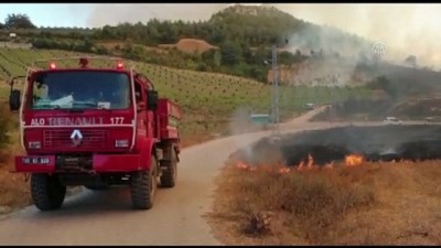 OSMANİYE - Orman yangınına havadan ve karadan müdahale ediliyor (2)
