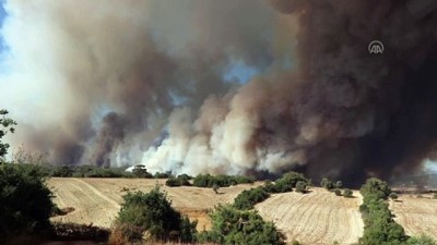 OSMANİYE - Orman yangınına havadan ve karadan müdahale ediliyor (4)