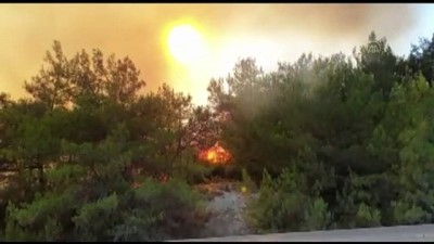 yukselen - OSMANİYE - Orman yangınına havadan ve karadan müdahale ediliyor (5) Videosu