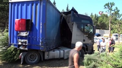 cam agaci -  Samsun'da tırın çarptığı sepetli motosikletin sürücüsü hayatını kaybetti Videosu