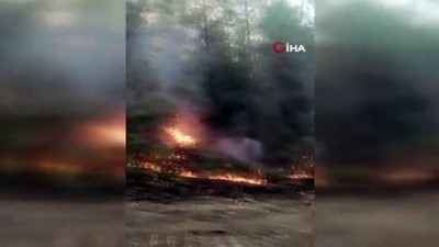 ormanli -  Aladağ'da orman yangını Videosu
