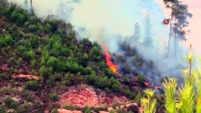  Alanya'da orman yangını kontrol altına alındı