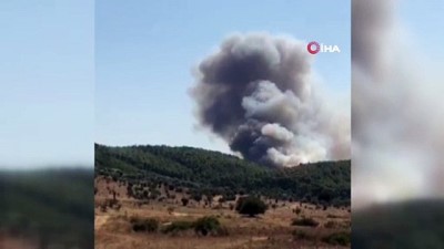 ormanli -  Bodrum'da orman yangını Videosu