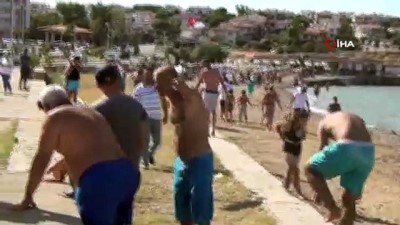 emekli ogretmen -  Halk plajında boğulmak üzere olan öğretmen son anda kurtarıldı Videosu