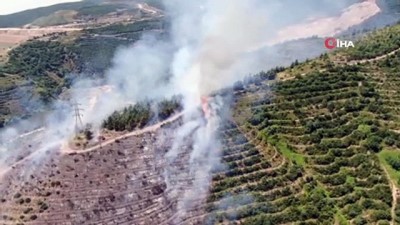 ormanli -  Kocaeli’de orman yangını Videosu