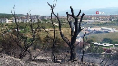  Kocaeli’deki orman yangını kontrol altına alındı