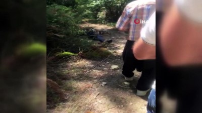 adli tip -  Kozan’da ormanlık alanda kadın cesedi bulundu Videosu