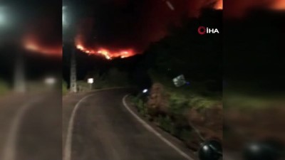  Kozan'daki orman yangınıyla ilgili kriz masası oluşturuldu