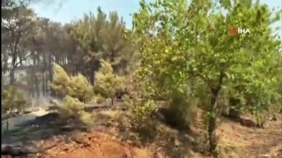elektrik santrali -  Manavgat’ta çıkan yangın elektrik santrali yakınlarına kadar geldi Videosu