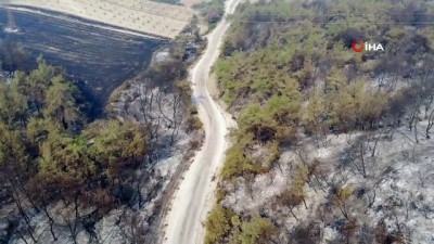  Osmaniye’deki orman yangınında yanan alanlar görüntülendi