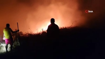 Hatay'da bitki örtüsü yangını zorlukla kontrol altına alındı