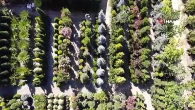  Pandeminin gülen sektörü: 'Peyzaj'