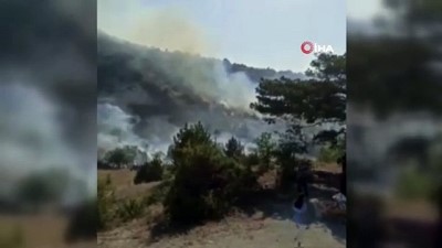 is makinesi -  Başkent’te ormanlık alanda yangın Videosu