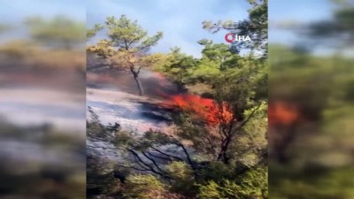  Gazipaşa ilçesinde 3 farklı alanda orman yangını
