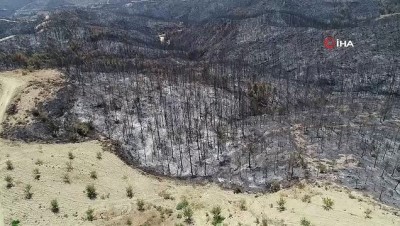  Aladağ’daki orman yangını kısmen kontrol altına alındı