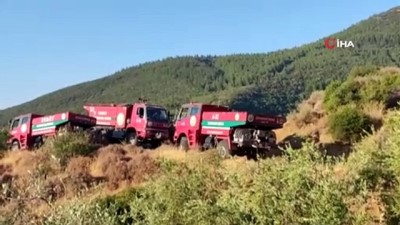 ormanli -  Hatay'da çıkan orman yangını kontrol altına alındı Videosu