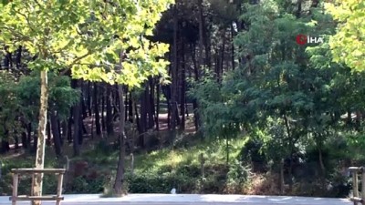  İstanbul'da ormana giriş yasağının ardından ormanlar boş kaldı