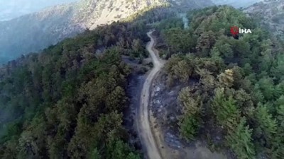 Kozan'daki orman yangını kontrol altına alındı