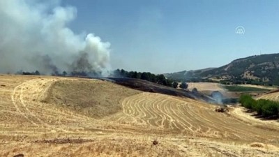 aniz yangini - ADIYAMAN - Ormanlık alana sıçrayan yangın kontrol altına alındı Videosu