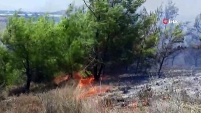 makilik alan -  Antalya'da makilik alanda yangın Videosu
