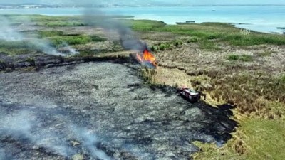 buyukbas hayvanlar - KONYA - Beyşehir Gölü kıyılarında sazlık alanda çıkan yangın itfaiye ekiplerince kontrol altına alındı Videosu