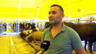kurbanlik hayvan -  Kurban pazarlarında satışlar başladı Videosu