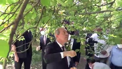 mimari - MALATYA - KKTC Cumhurbaşkanı Tatar,  kayısı bahçesinde üreticilerle görüştü Videosu