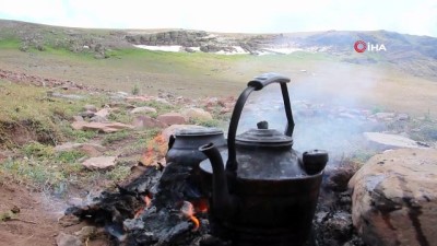  Oltulu doğa severlerin Temmuz ayında kar keyfi