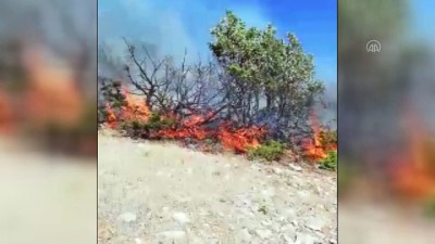 ormanli - BATMAN - Ormanlık alanda etkili olan yangın söndürüldü Videosu