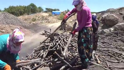ocaklar - ERZİNCAN - Alın terine kömür karası karışanlar: 'Mangal kömürü işçileri' Videosu