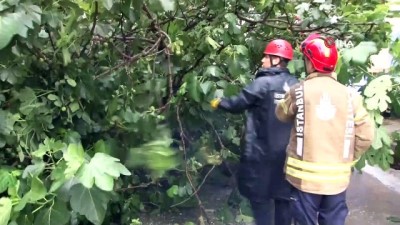 yagmur -  Kartal'da sağanak yağış nedeniyle ağaç devrildi Videosu