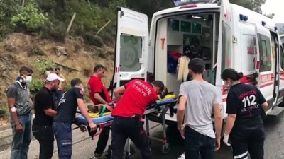 elektrik diregi - MERSİN - Devrilen kamyonetteki 11 kişi yaralandı Videosu