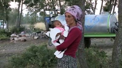 mangal komuru - YOZGAT - Sağlık ekipleri, ormanlık alanda mangal kömürü üreten işçilere Kovid-19 aşısı yaptı Videosu