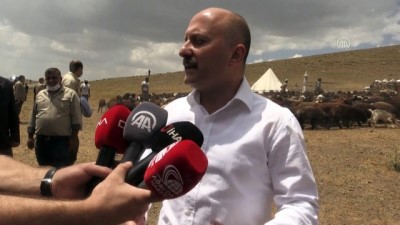general - AĞRI - Ağrı Valisi Varol, devlet desteğiyle koyun sahibi olan çiftçileri yaylada ziyaret etti Videosu
