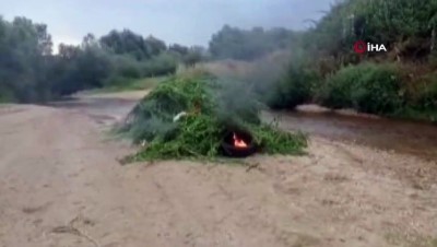 gozalti -  Kırklareli’nde 231 bin kök kenevir imha edildi Videosu