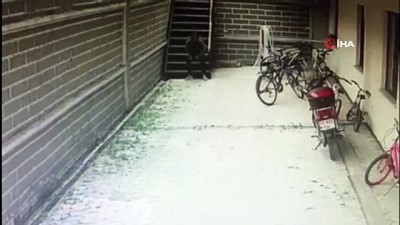 kimlik tespiti -  Bisiklet hırsızı kameraya böyle yakalandı Videosu