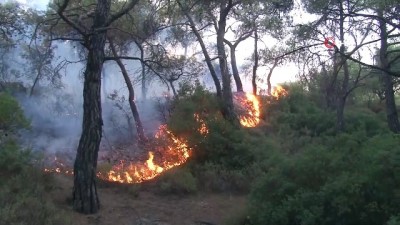  Foça'daki yangının etrafı çevrildi