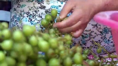 kahvehane - İZMİR - Asırlık lezzet 'bademli koruk şerbeti' tescil yolunda Videosu
