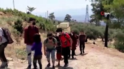  Kaçak göçmenler ormanda yakalandı