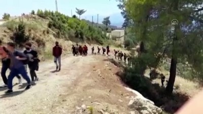 iran - MUĞLA - Ormanlık alanda 74 düzensiz göçmen yakalandı Videosu