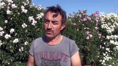 yardim cagrisi -  17 yaşındaki Zeynep'ten bir haftadır haber alınamadı Videosu
