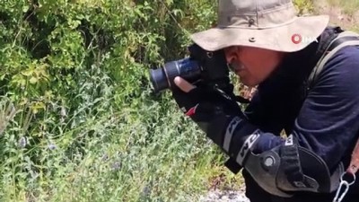 doga fotografcisi -  İngiltere’den hediye edilen fotoğraf makinası hayatını değiştirdi Videosu