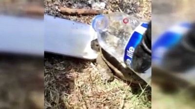 su -  Alevlerin içinde kalan kaplumbağalara itfaiye erlerinden yardım eli Videosu