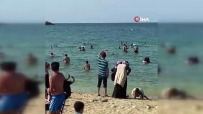 plaj -  Arnavutköy’de boğulma tehlikesi geçiren genç son anda kurtarıldı Videosu